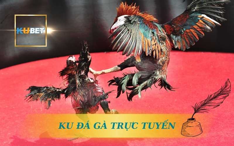 KU ĐÁ GÀ TRỰC TUYẾN ĐỈNH CAO TỪ KUBET